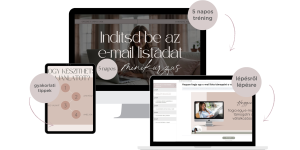 Instarol-a-listadra-mockup